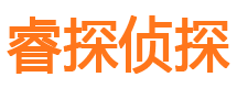 桥西市私家侦探